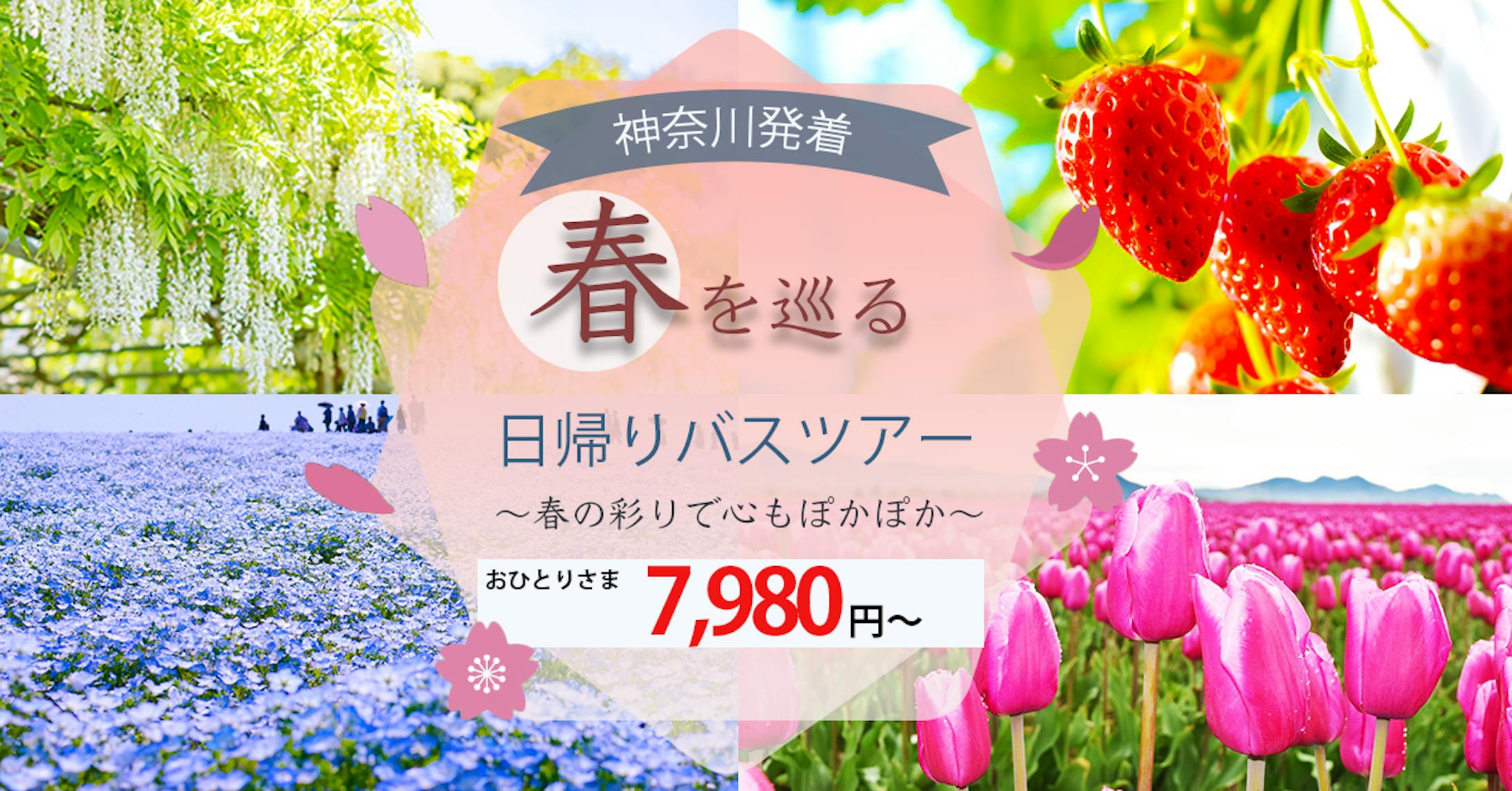 春のバスツアー-1