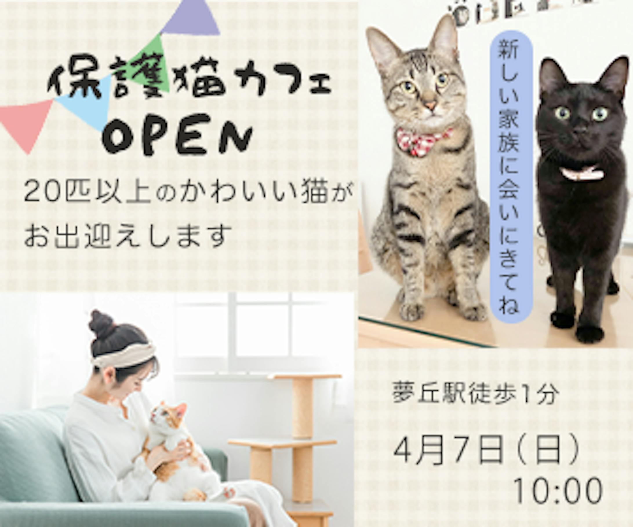 保護猫カフェのオープン告知-1