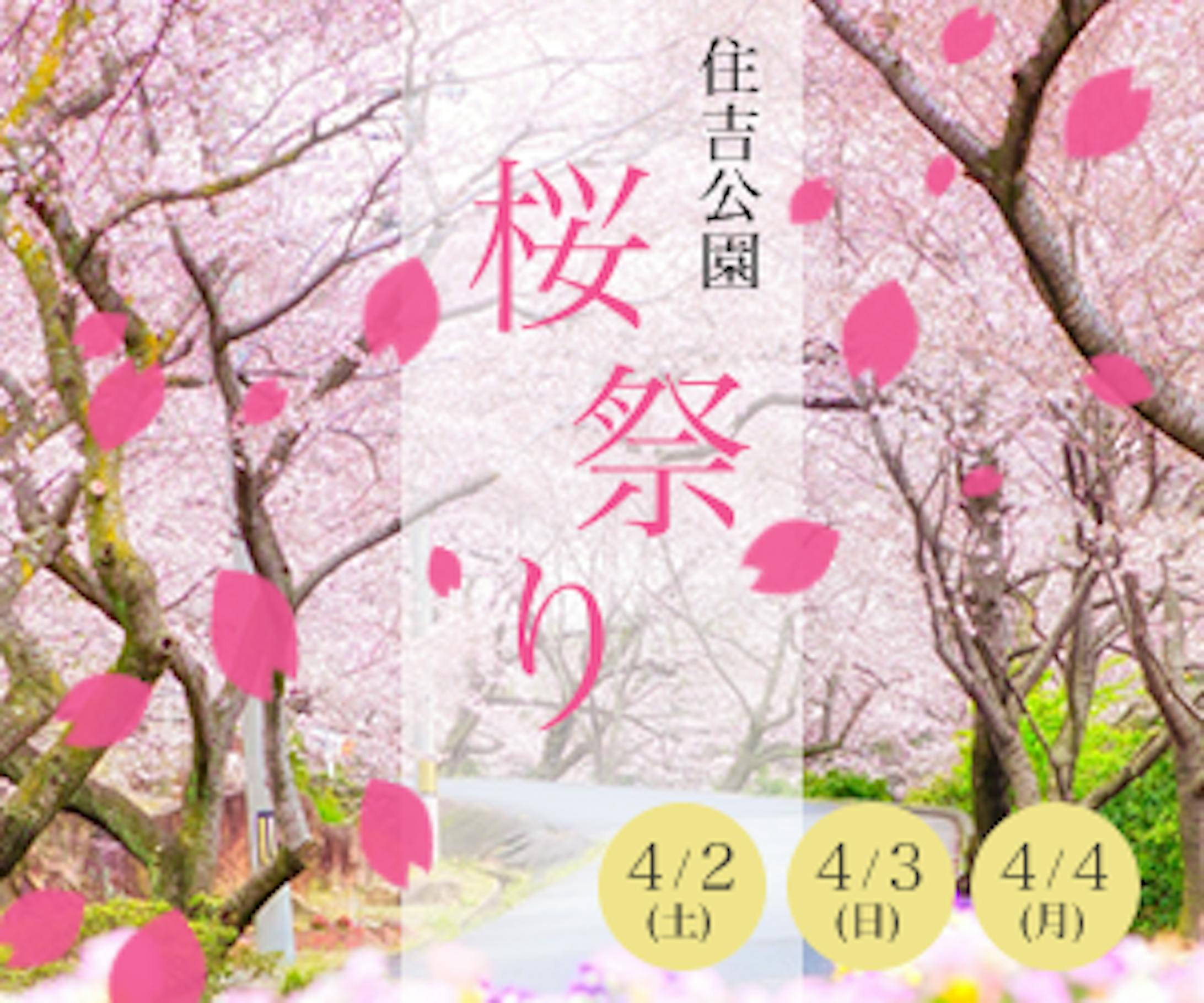架空バナー　桜祭り-1