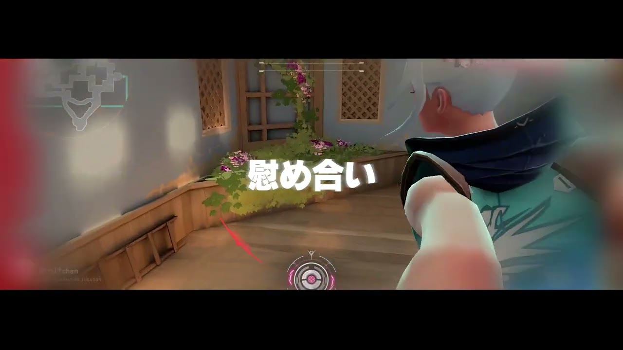 《TVC様》VALORANTカスタムオープニング