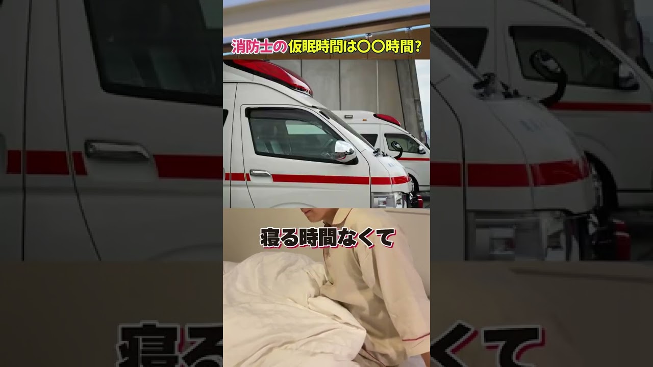 自主制作、ポートフォリオ