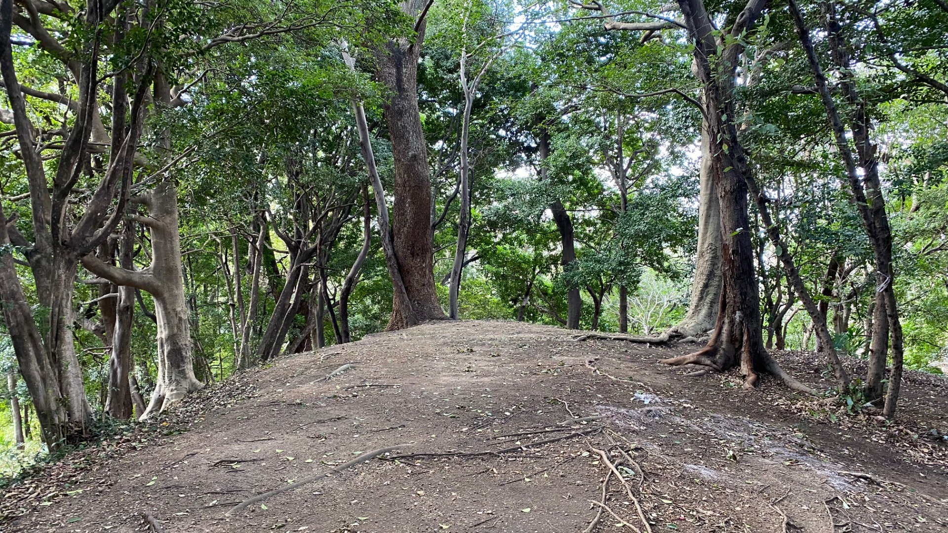 【名古屋市熱田区】東海地方最大クラスの古墳「断夫山古墳」は熱田神宮の隣にあった！墳丘も散策可能 - 土庄雄平 | Yahoo! JAPAN クリエイターズプログラム