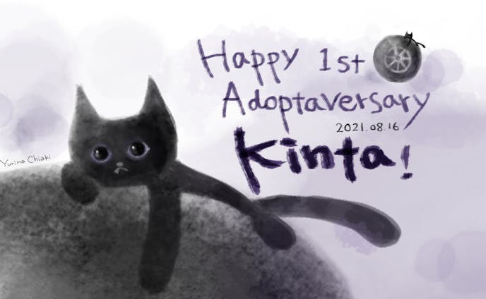 Happy 1st Adoptaversary Kinta!