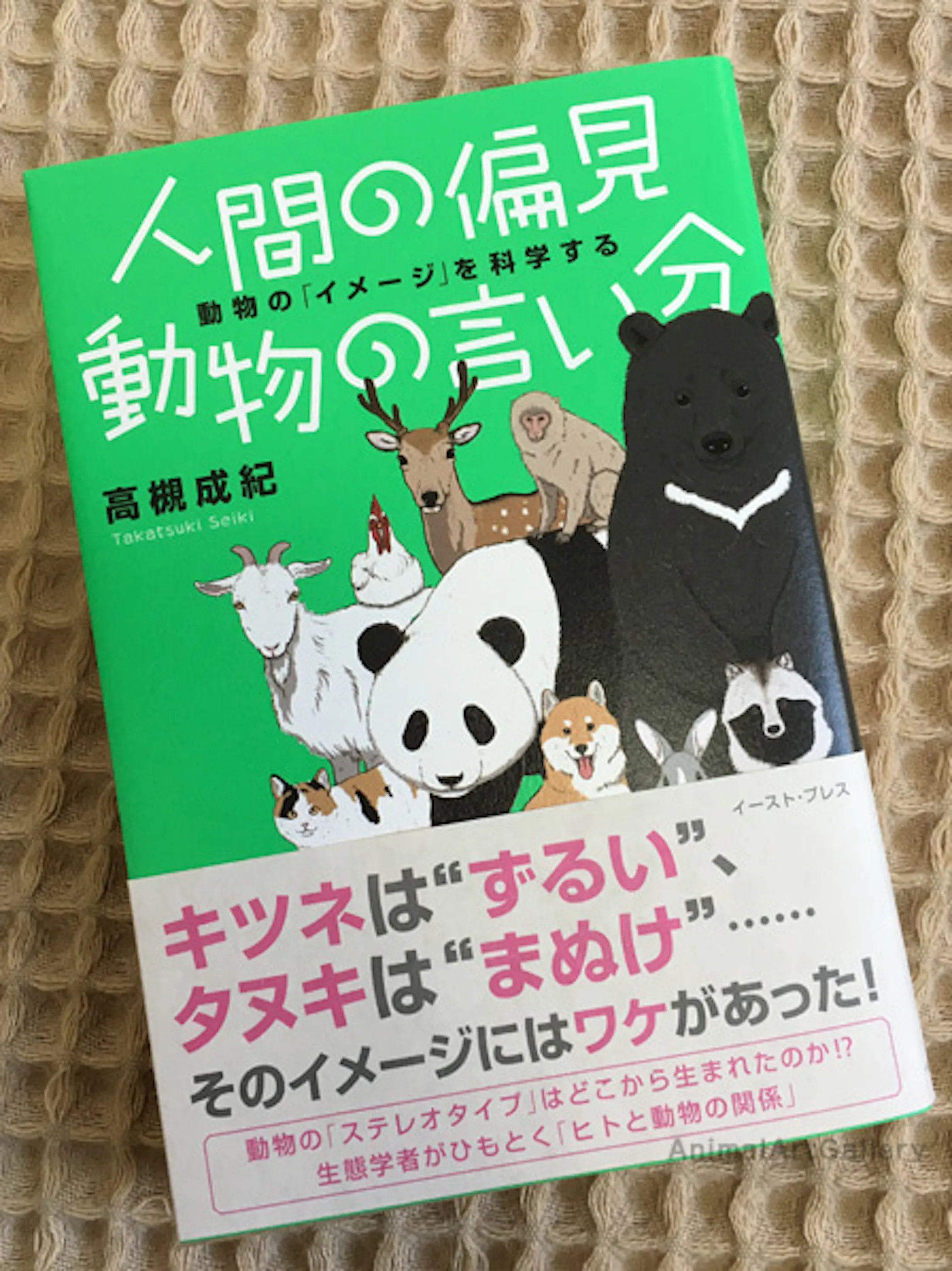 書籍 動物イラスト