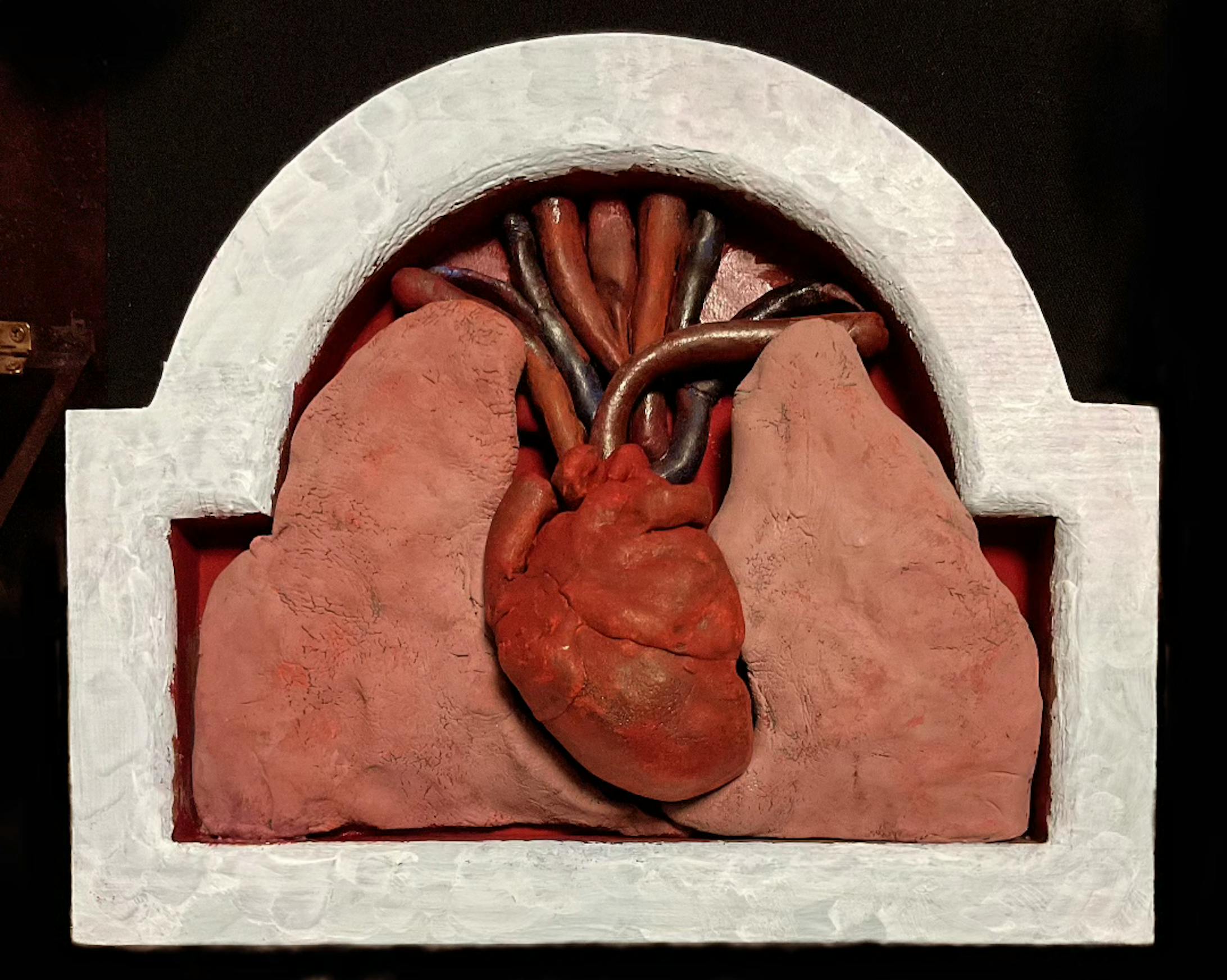anatomy-1