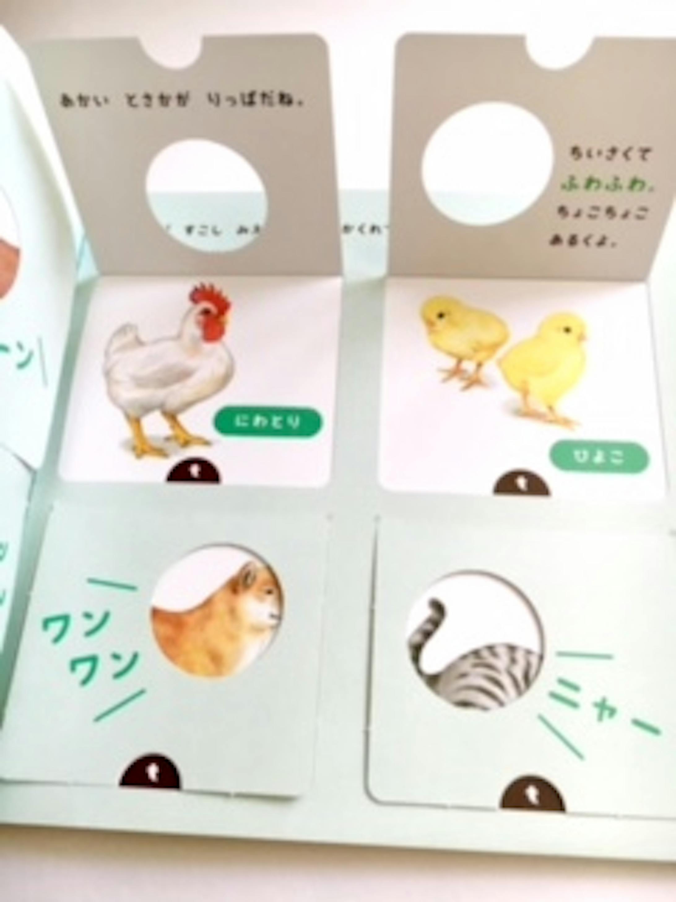 おとなも楽しめます。