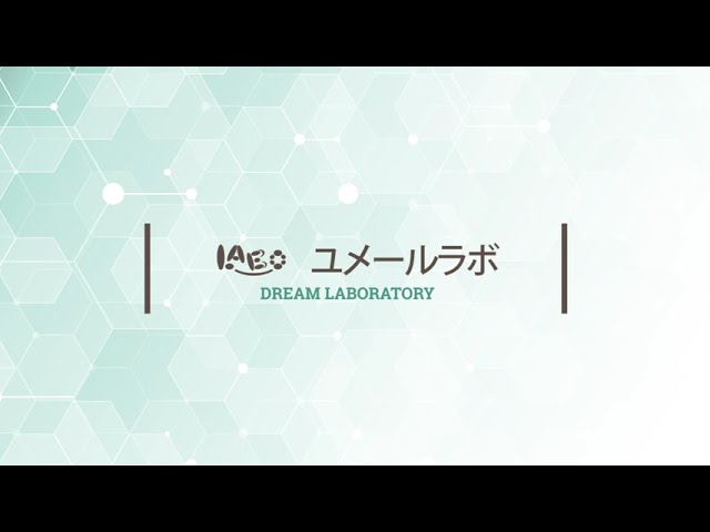 制作実績、オープニング