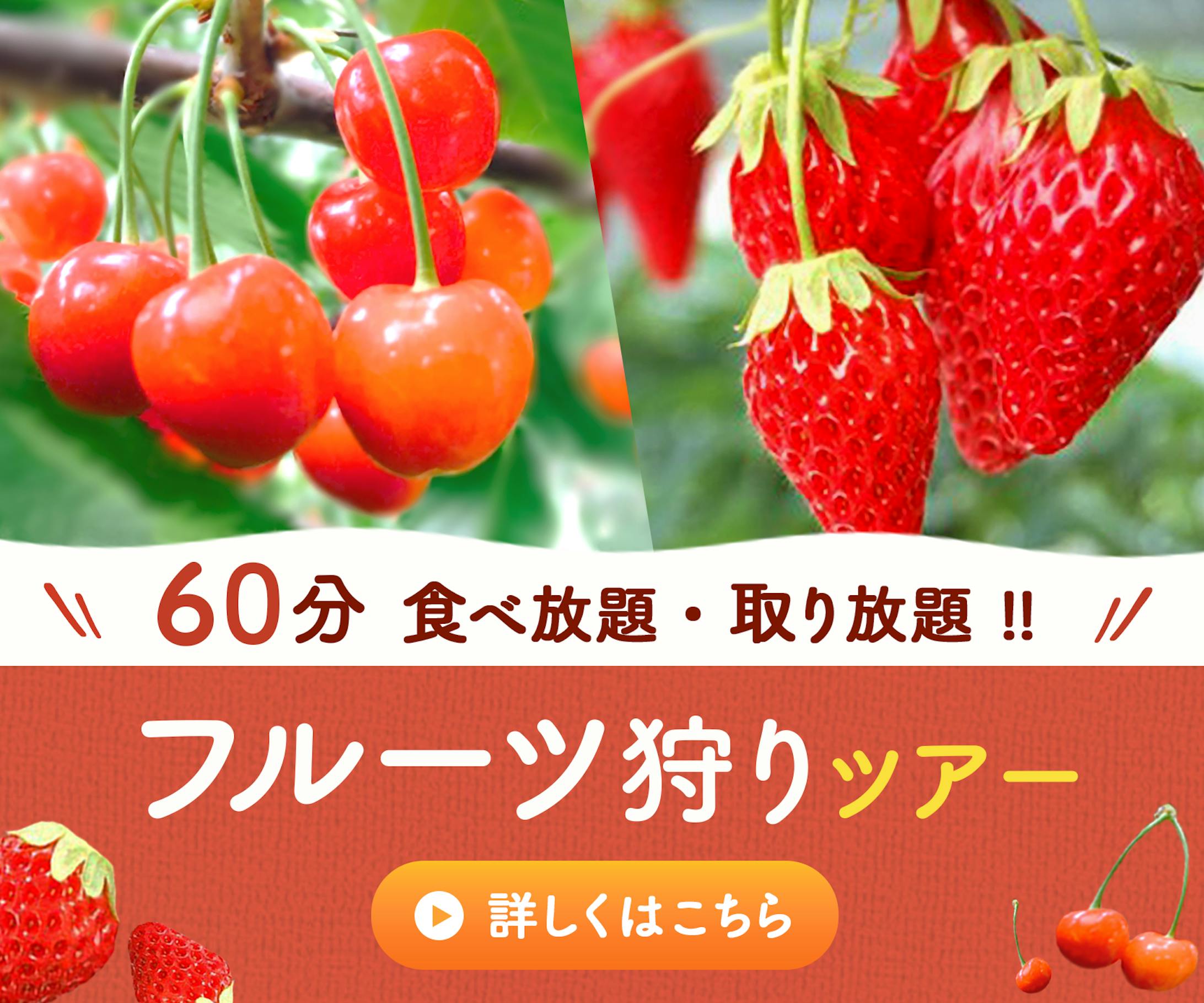 バナー：いちご狩り-1