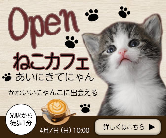 バナー：ねこカフェ-1