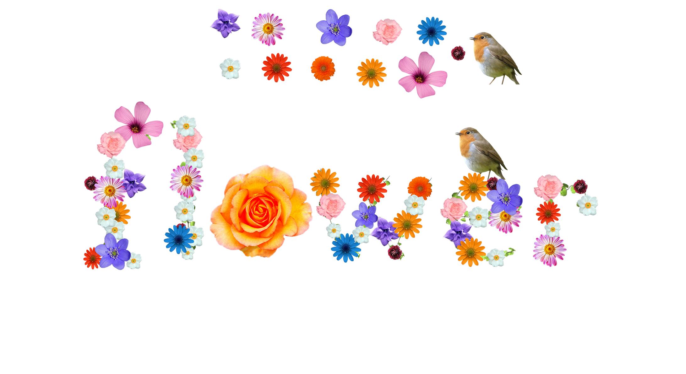 Blooming-1