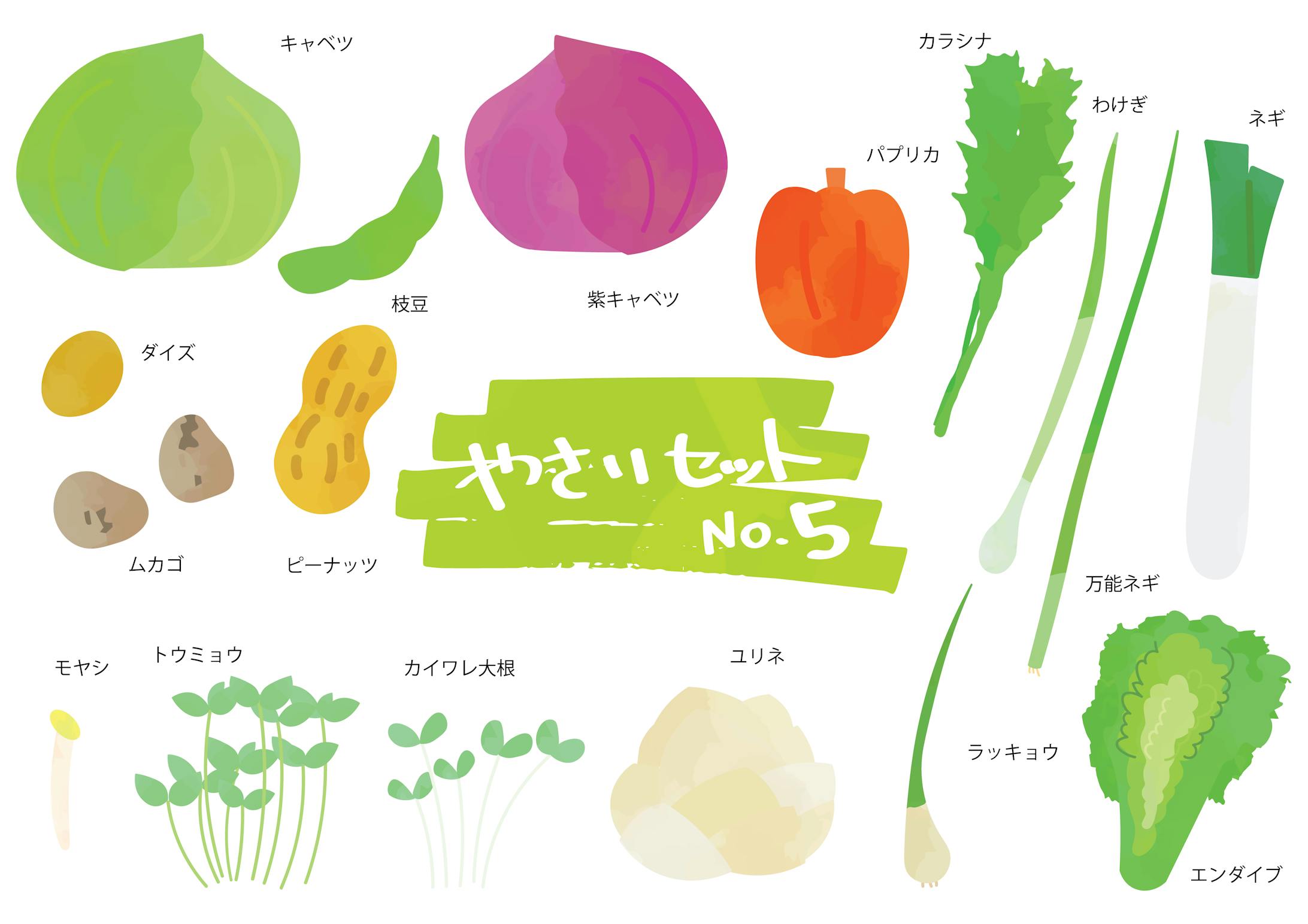 野菜・フルーツイラストセット-5
