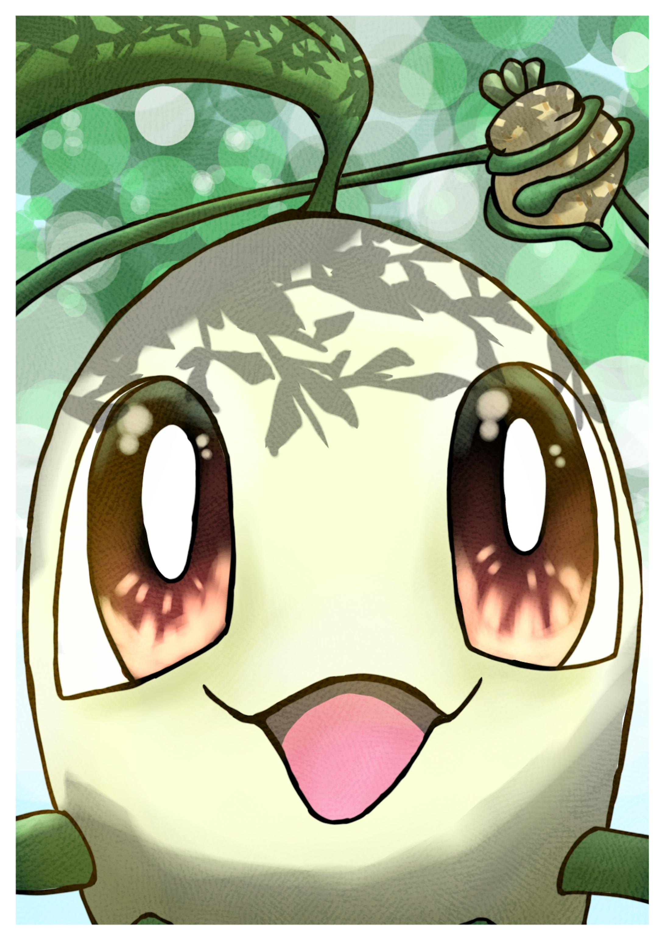 オボンのみ きのみ狩り オボンのみ きのみ狩り