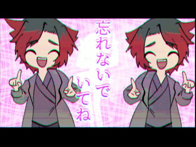 文章、ポートフォリオ