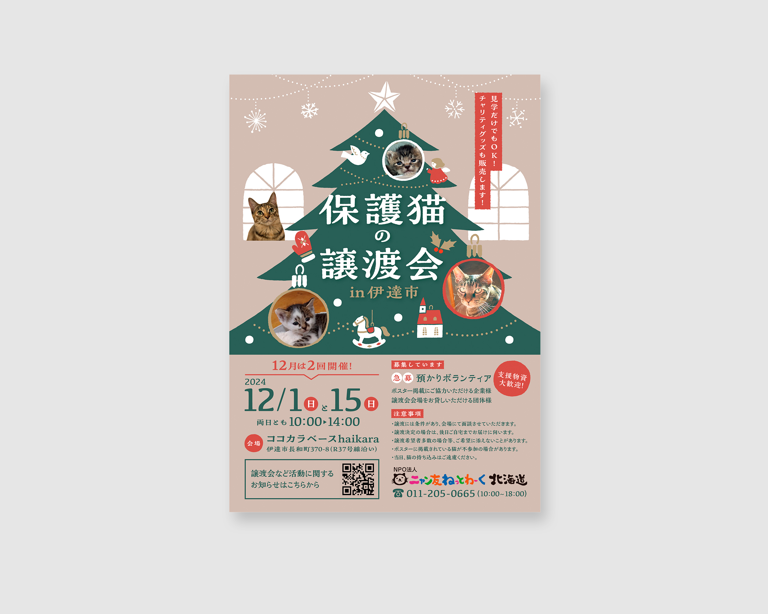 【実績】保護猫の譲渡会ポスター（2024年12月）-1