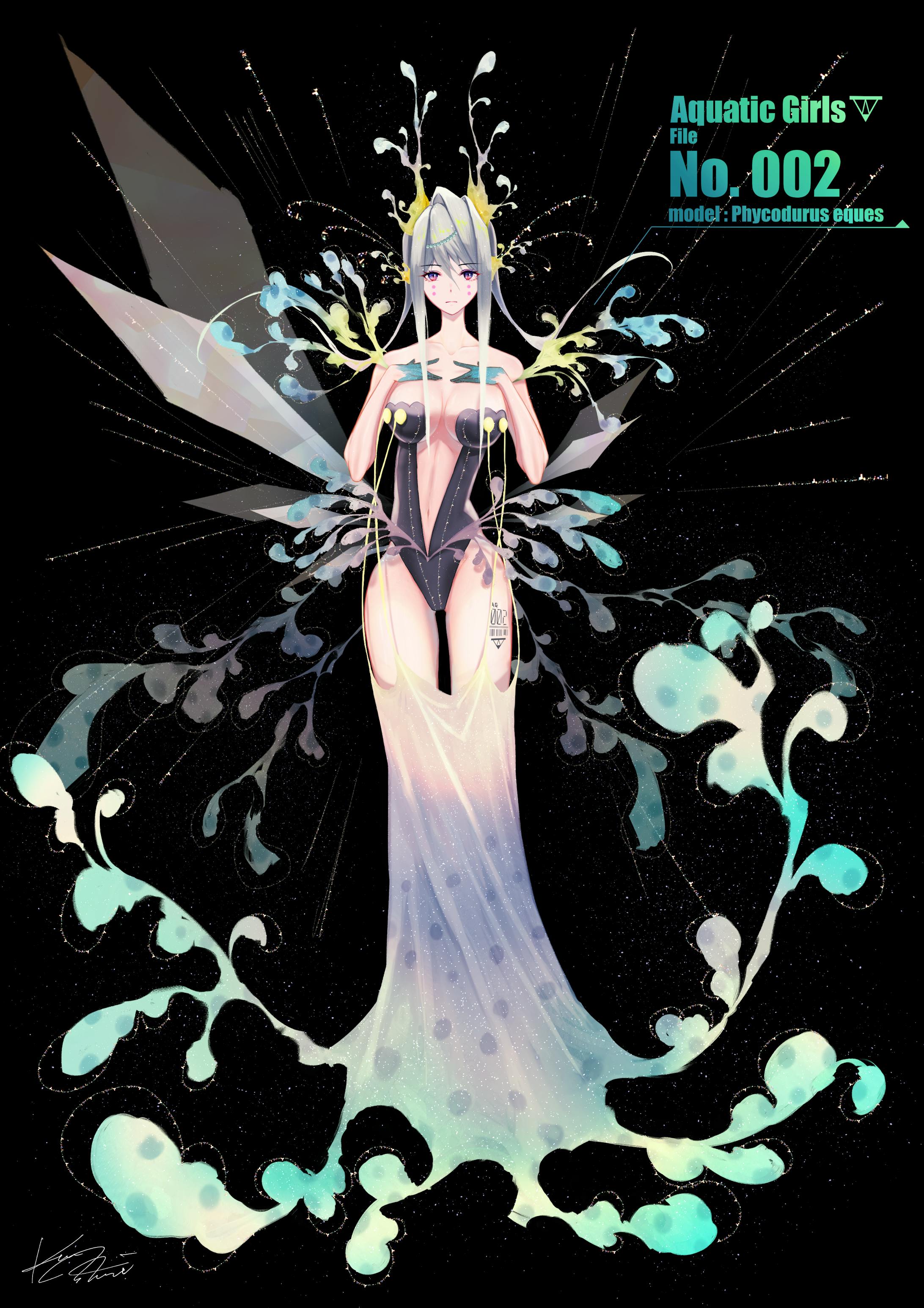 水棲少女 No 002 リーフィーシードラゴン Phycodurus Eques