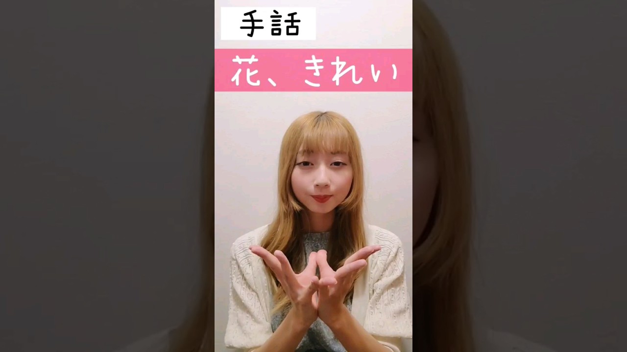 🩶 高級感 / きれい系、学び