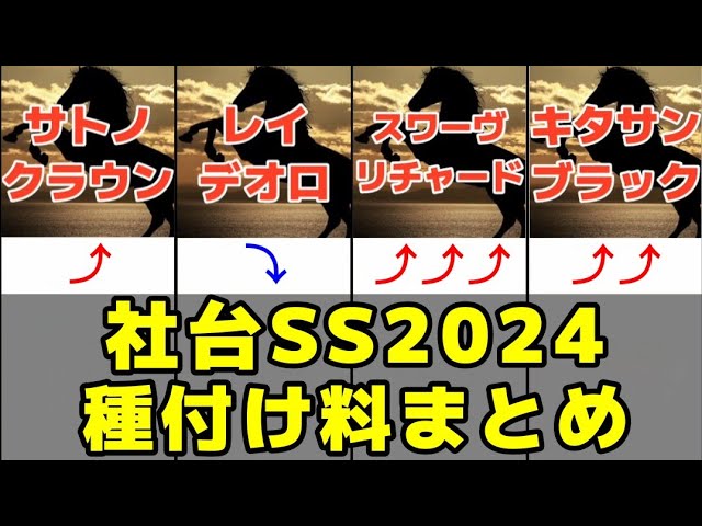 css、2024年