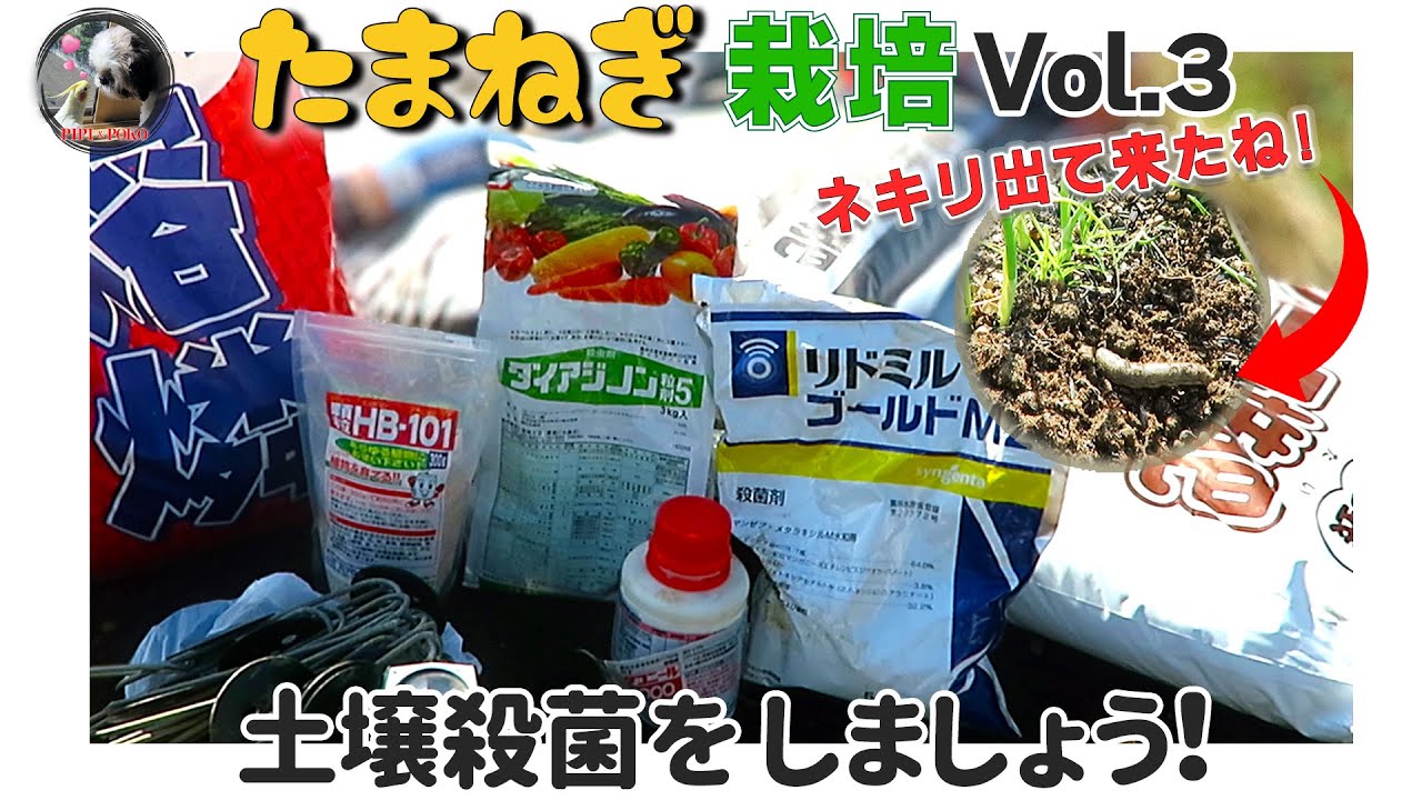 YouTube動画編集