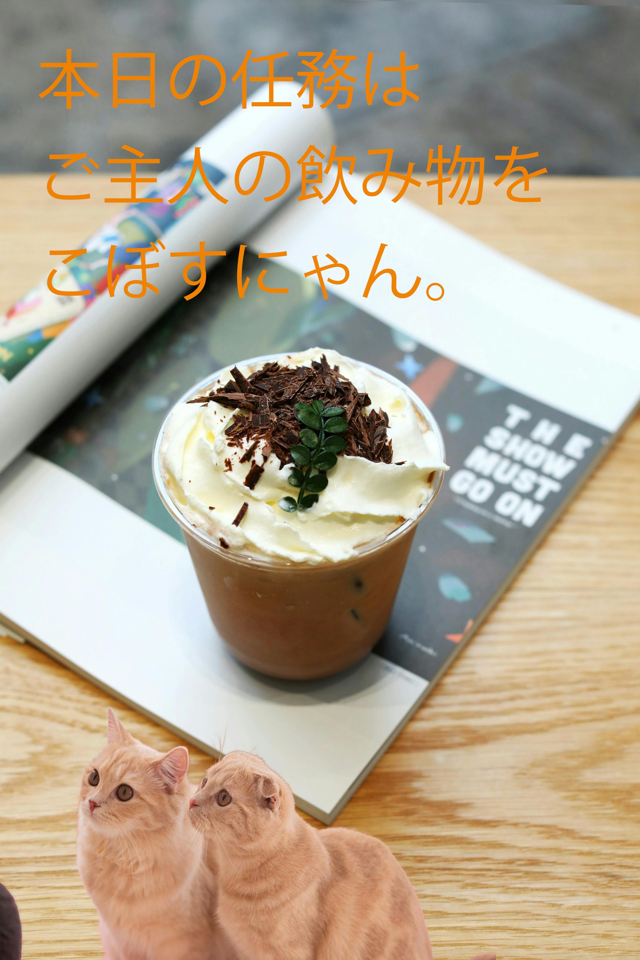 ねこねこ任務02-1