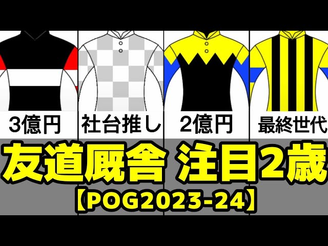 youtuber、tcg