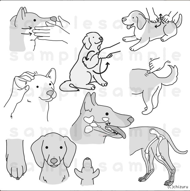 イラスト カットイラストのクリエイティブな作品が集まるポートフォリオプラットフォーム Foriio