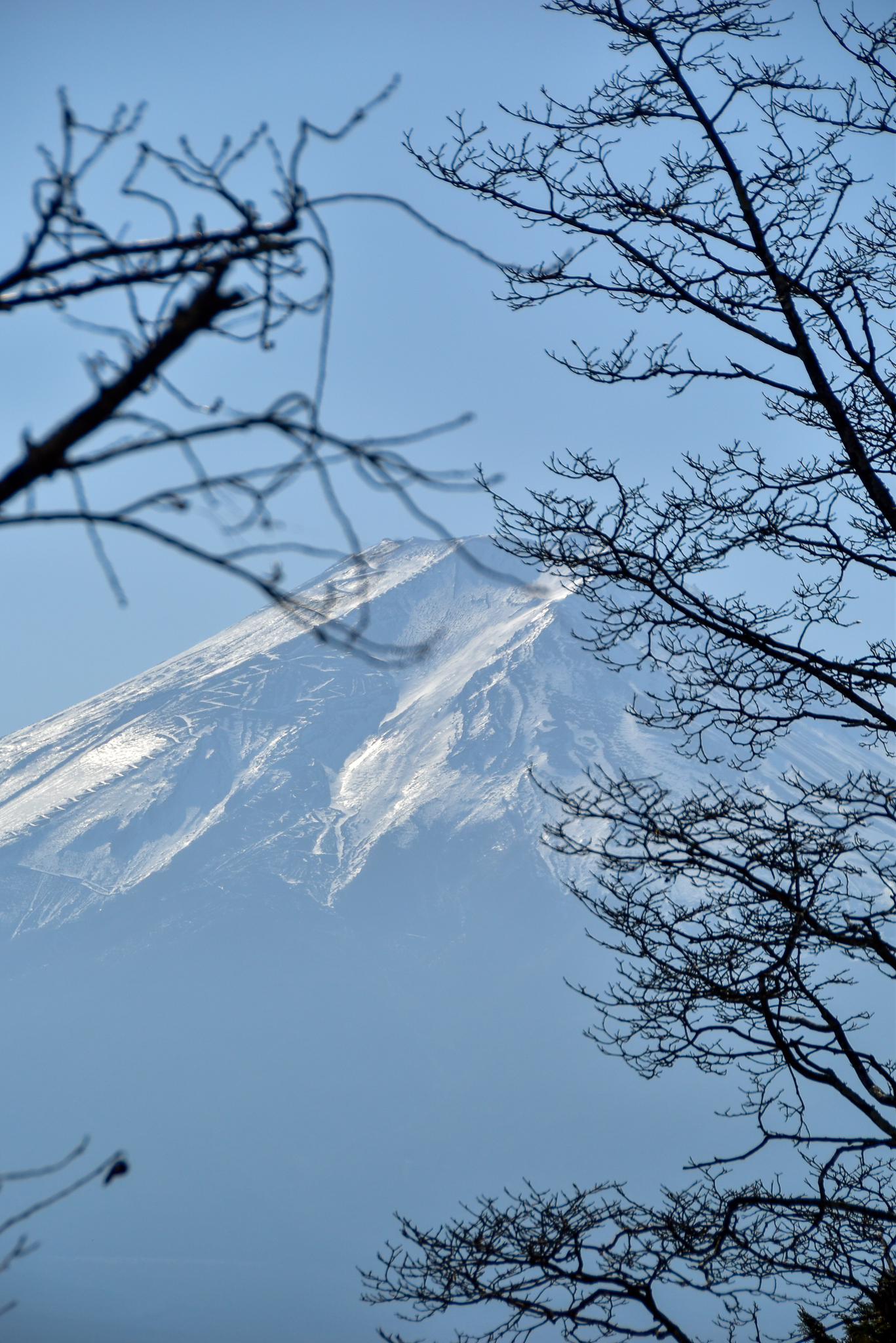 Mt. Fuji-1