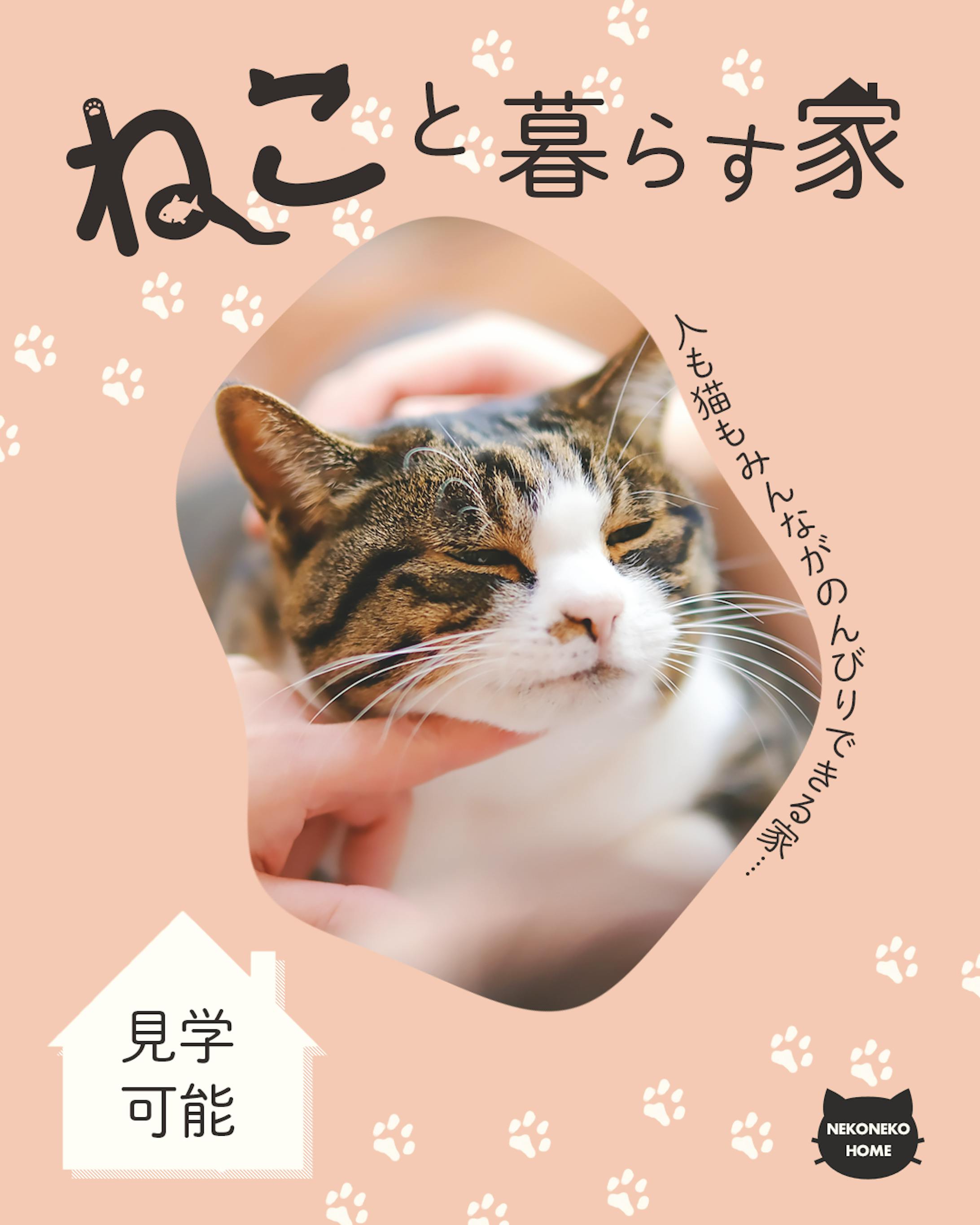 【架空】ねこと暮らす家 広告バナー-1