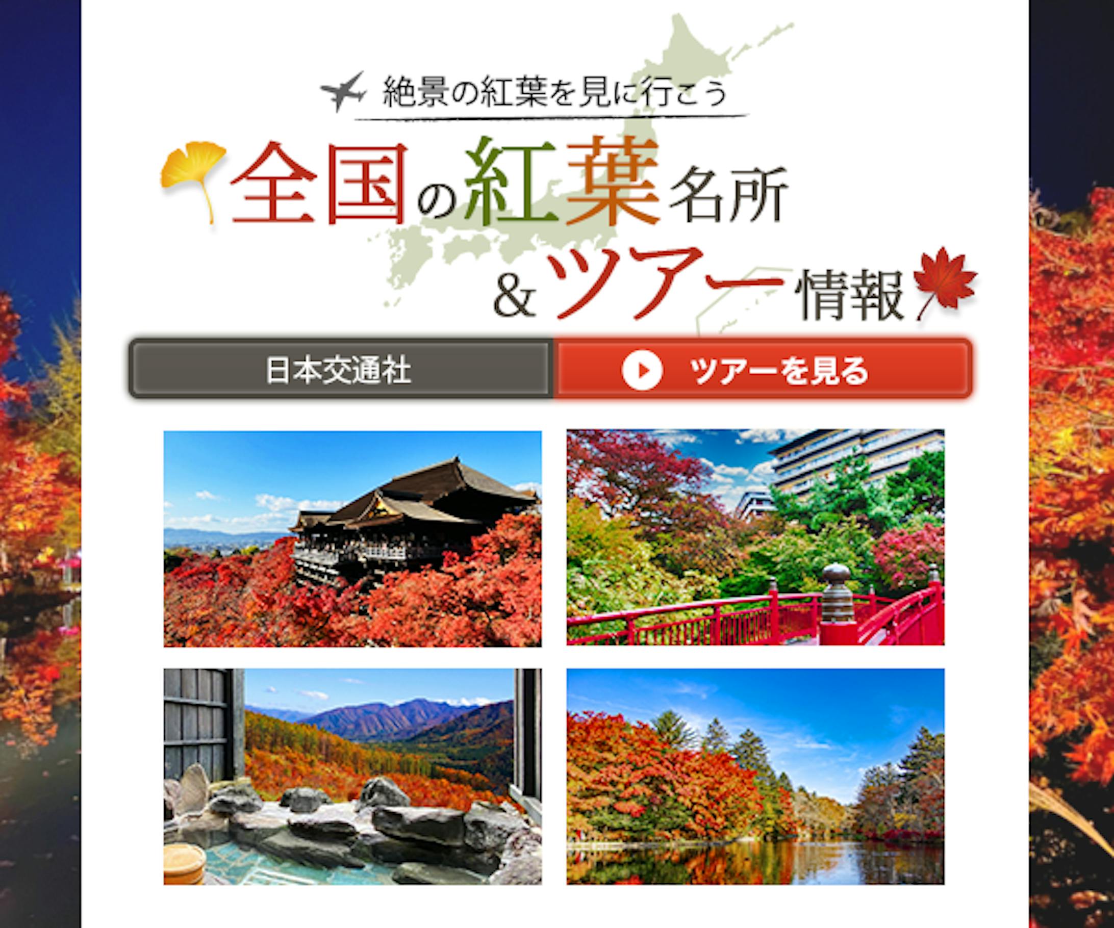 バナー：紅葉スポット＆ツアー情報-1