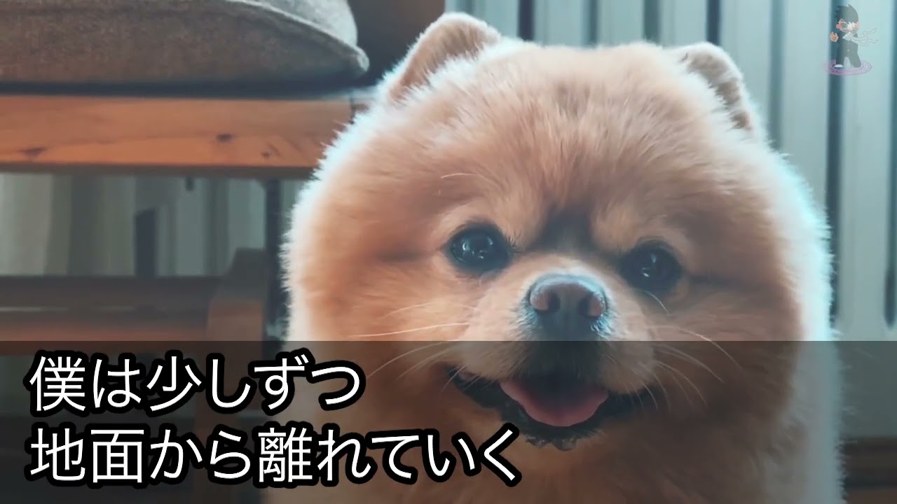 朗読系動画