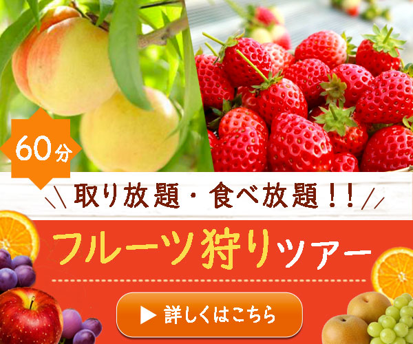 バナー 600×500-1