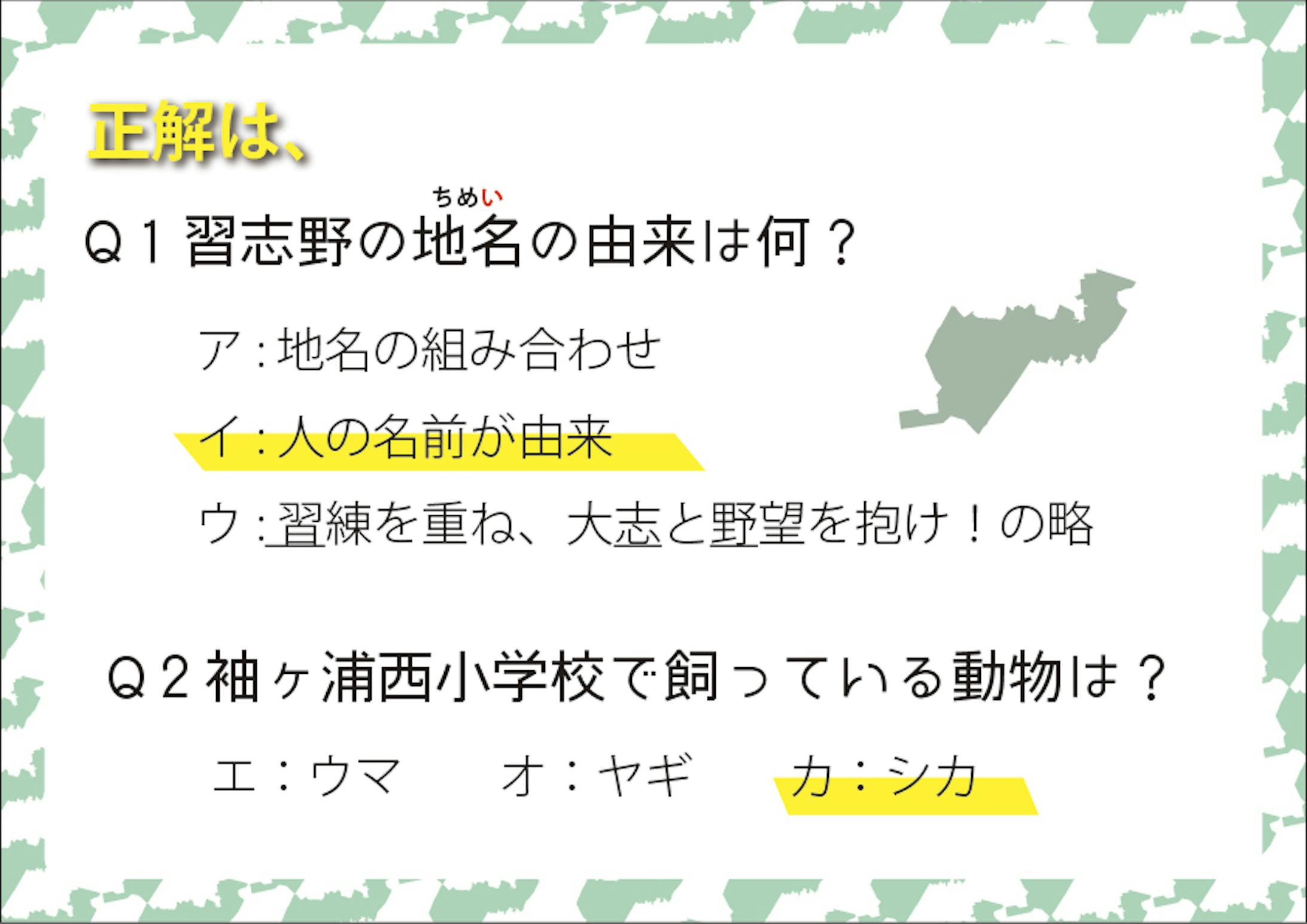 p5クイズのこたえ