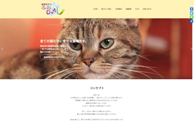 Webサイト制作「保護猫カフェ」