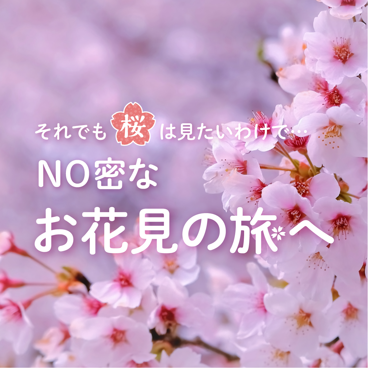 季節、ソリマチ「みんなの経営応援通信」