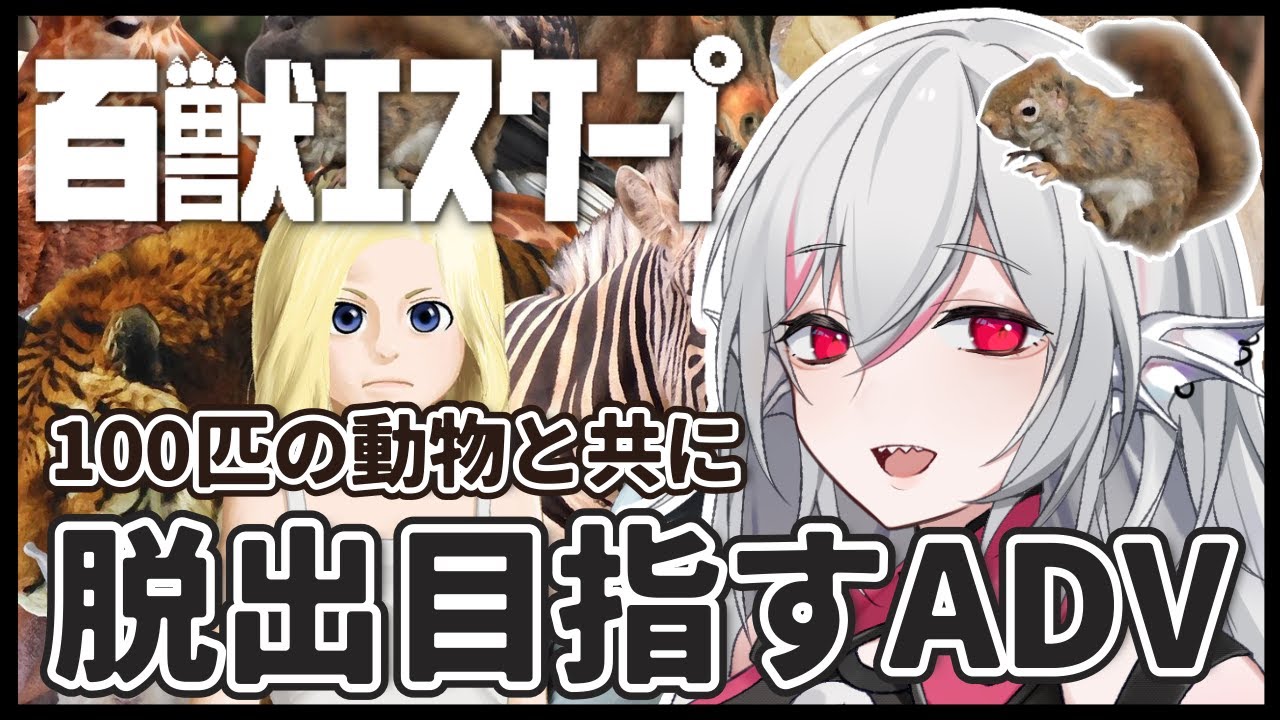 配信画面、game