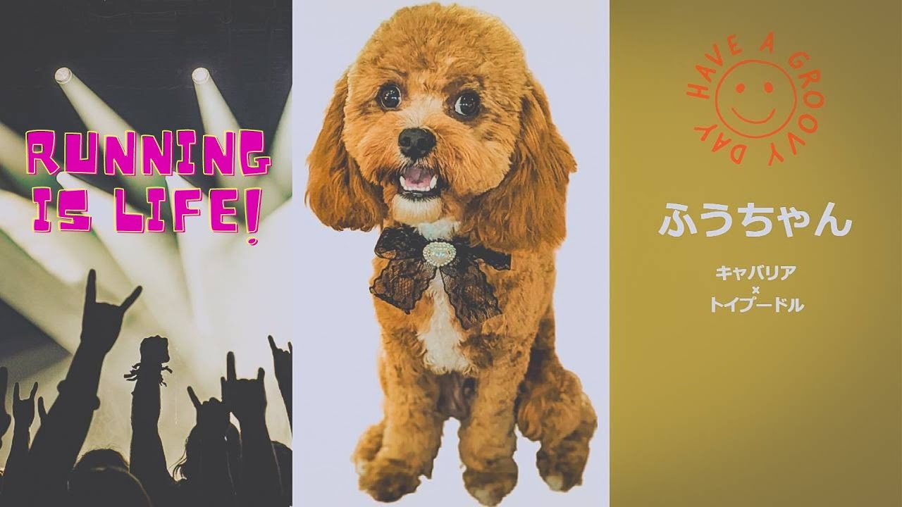 【動画】Running is life-走ることが人生だ
