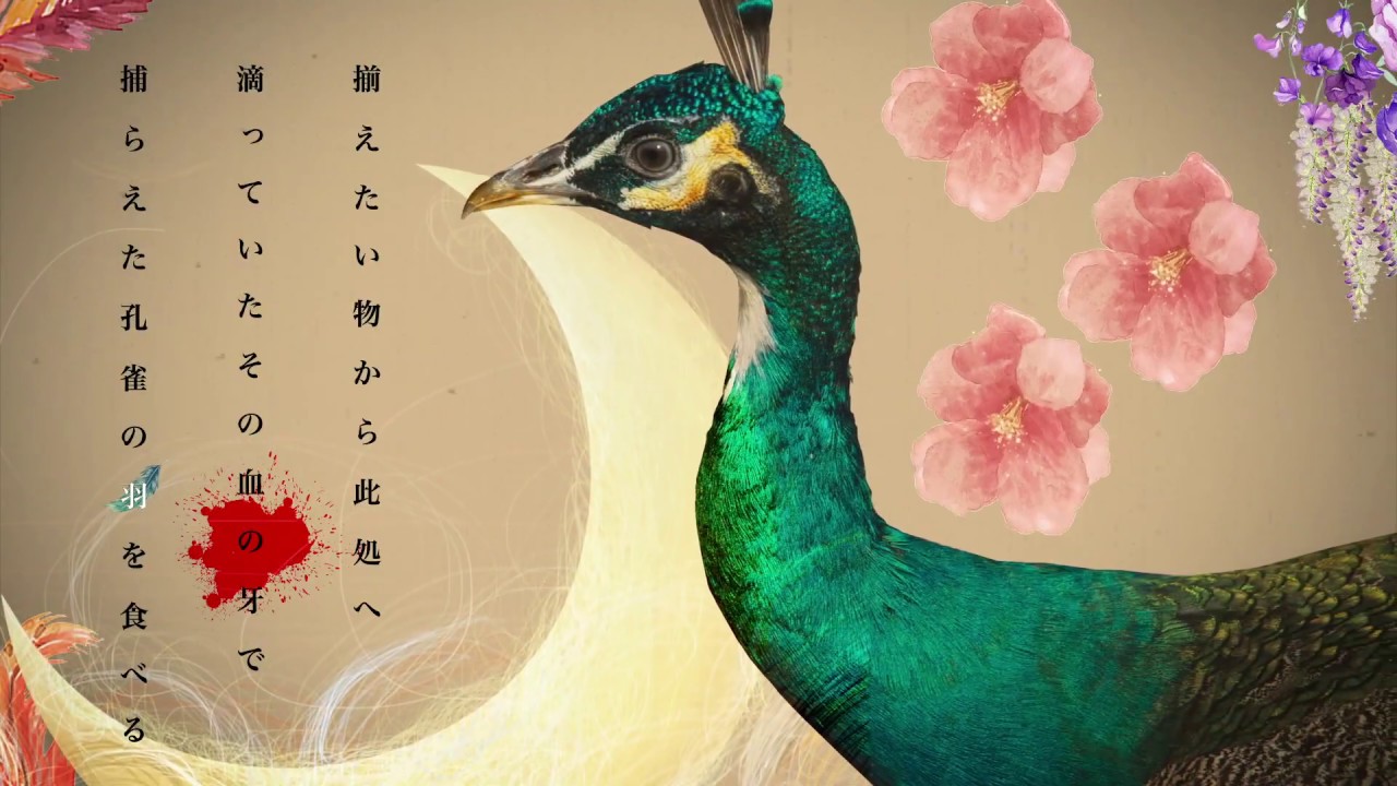 イラスト、漫画、編集