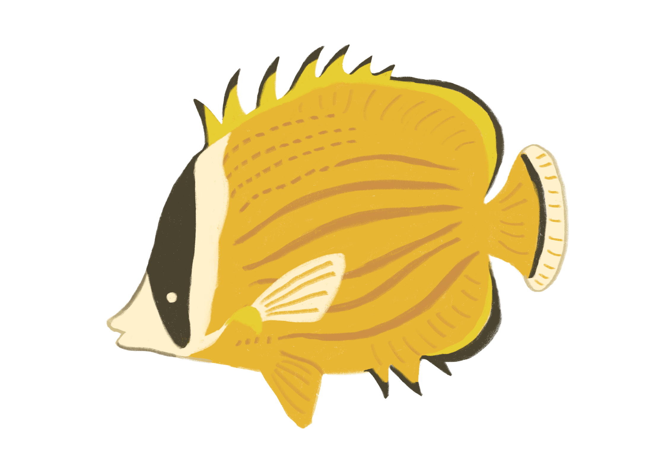 チョウチョウウオの群れイラスト チョウチョウウオの群れイラスト