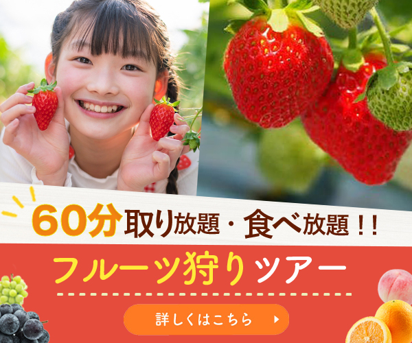 フルーツ狩りツアー　バナー-1