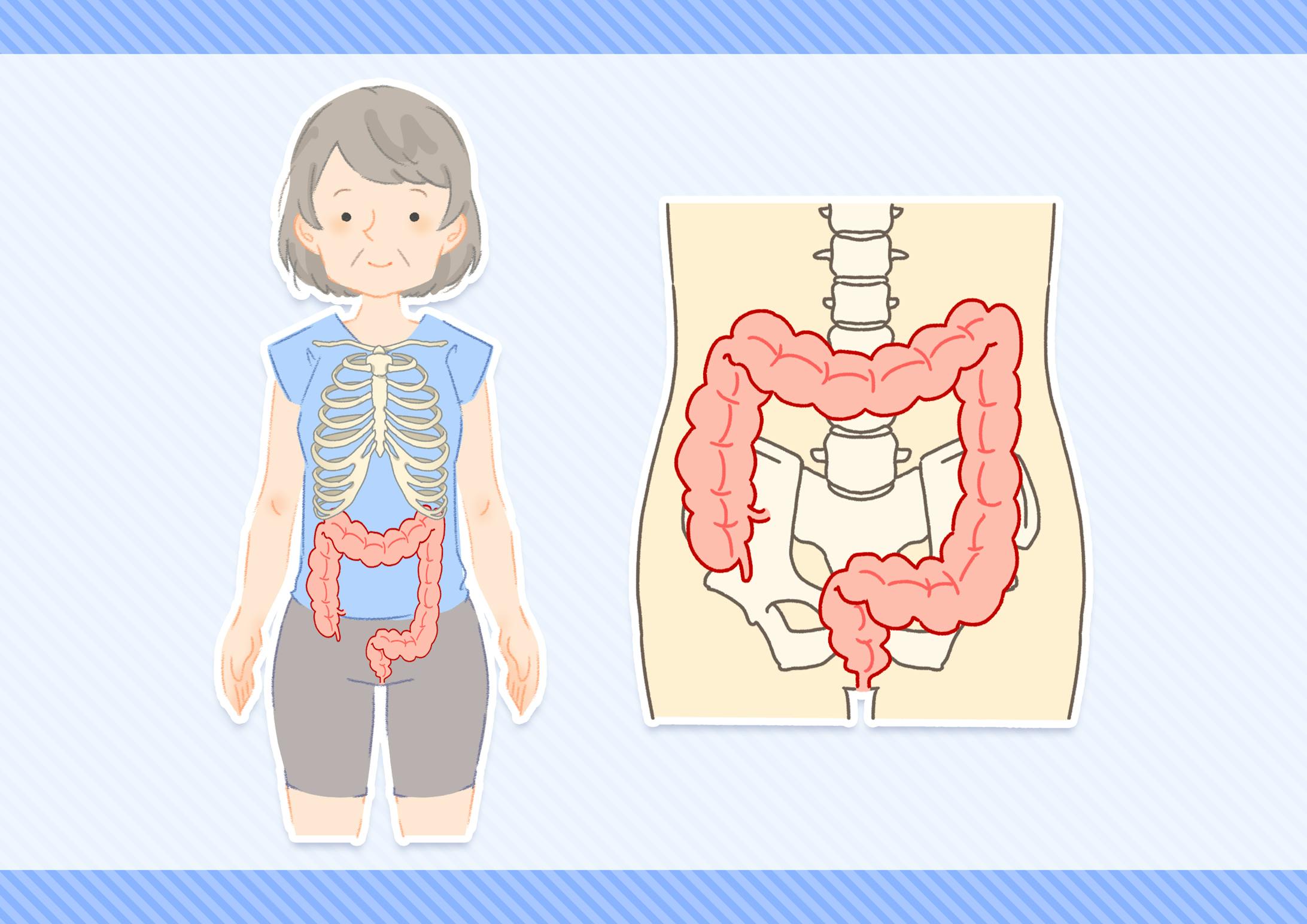 Dr 水上の今日から始める簡単腸活 イラスト