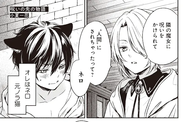 小夏一花 Foriio 小夏一花 Foriio