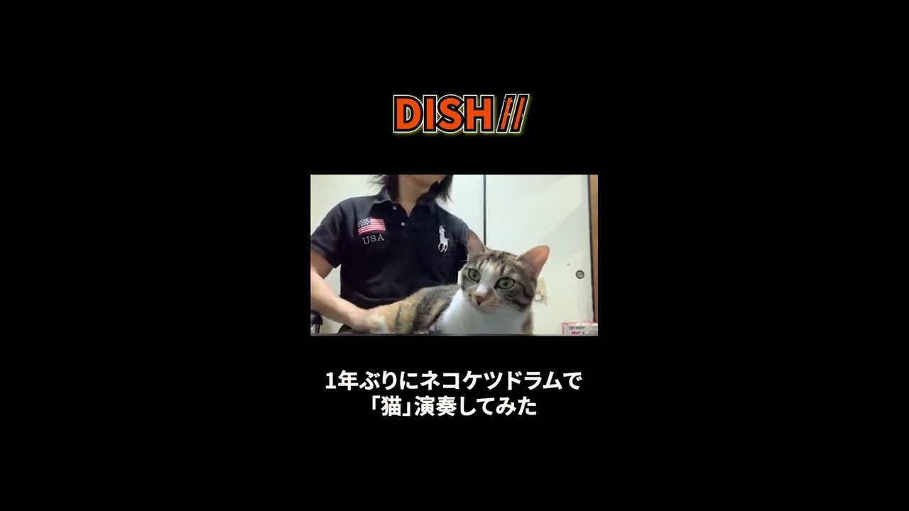 1年ぶりにネコケツドラムで「猫」叩いてみた 2