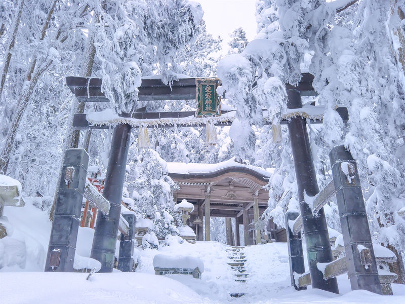 京都「愛宕山」の冬！杉の大樹が凍り付く水墨画の世界 | 京都府 | LINEトラベルjp 旅行ガイド
