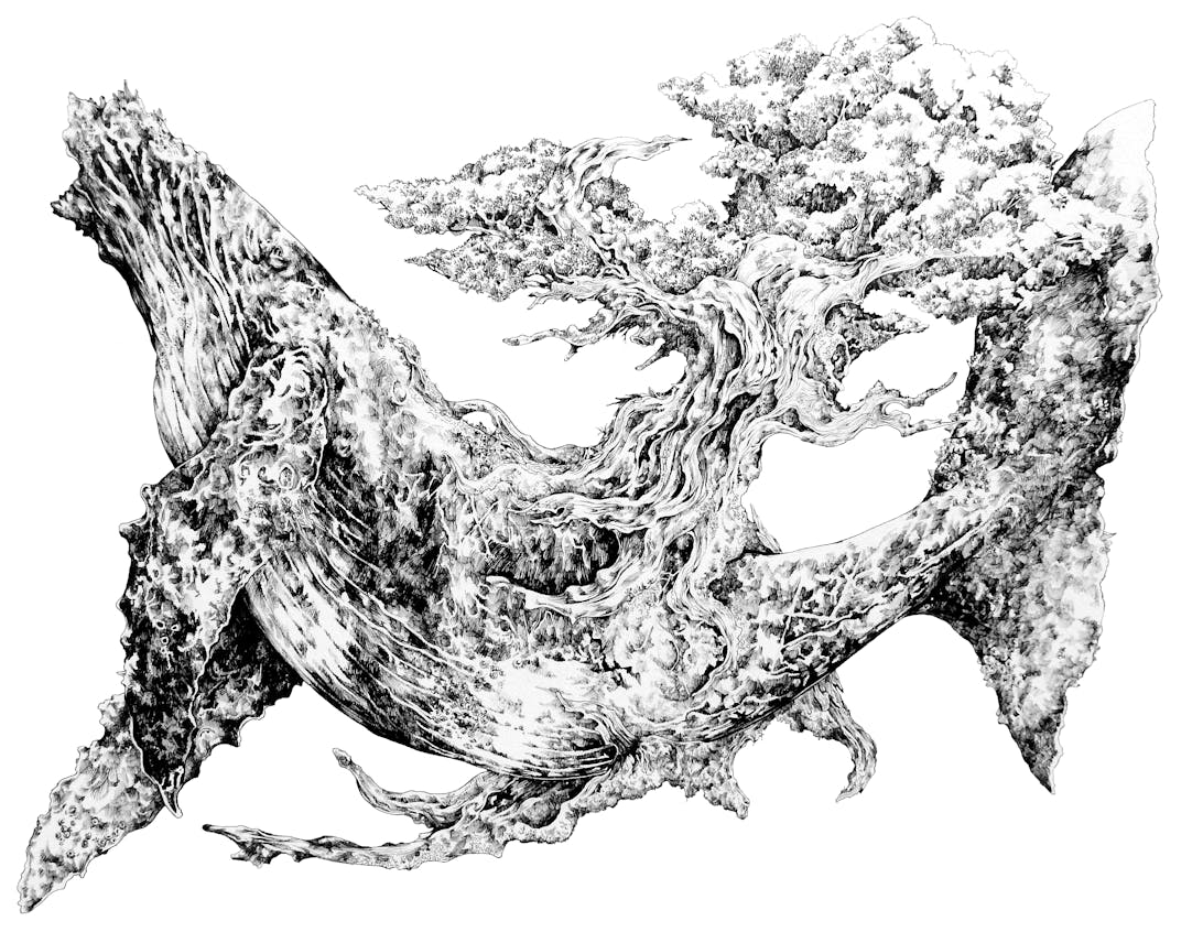 見入ってもらえるような 魔力 のある作品を描きたい マツダケンが描く 動植物の共生 の姿