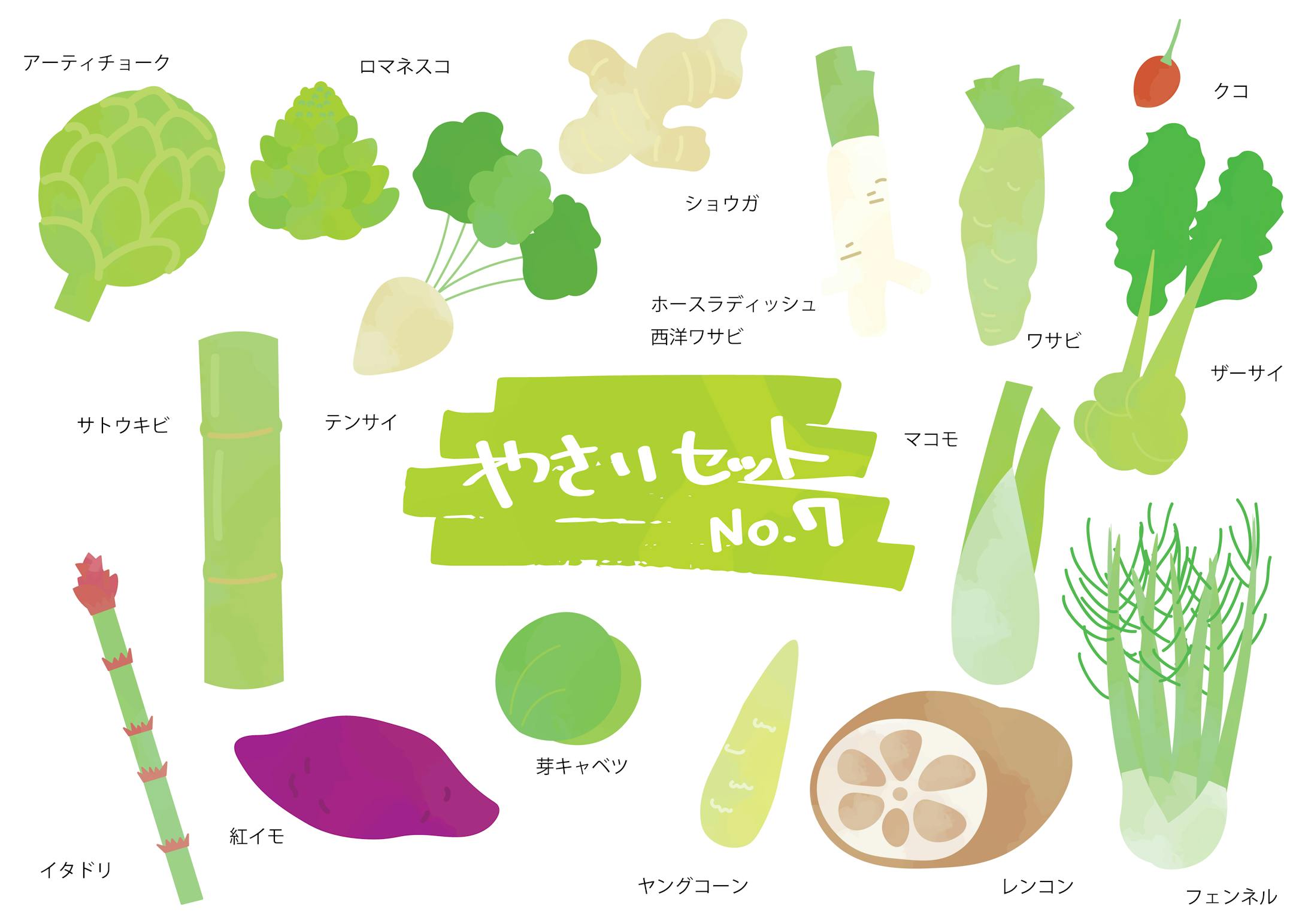 野菜・フルーツイラストセット-7