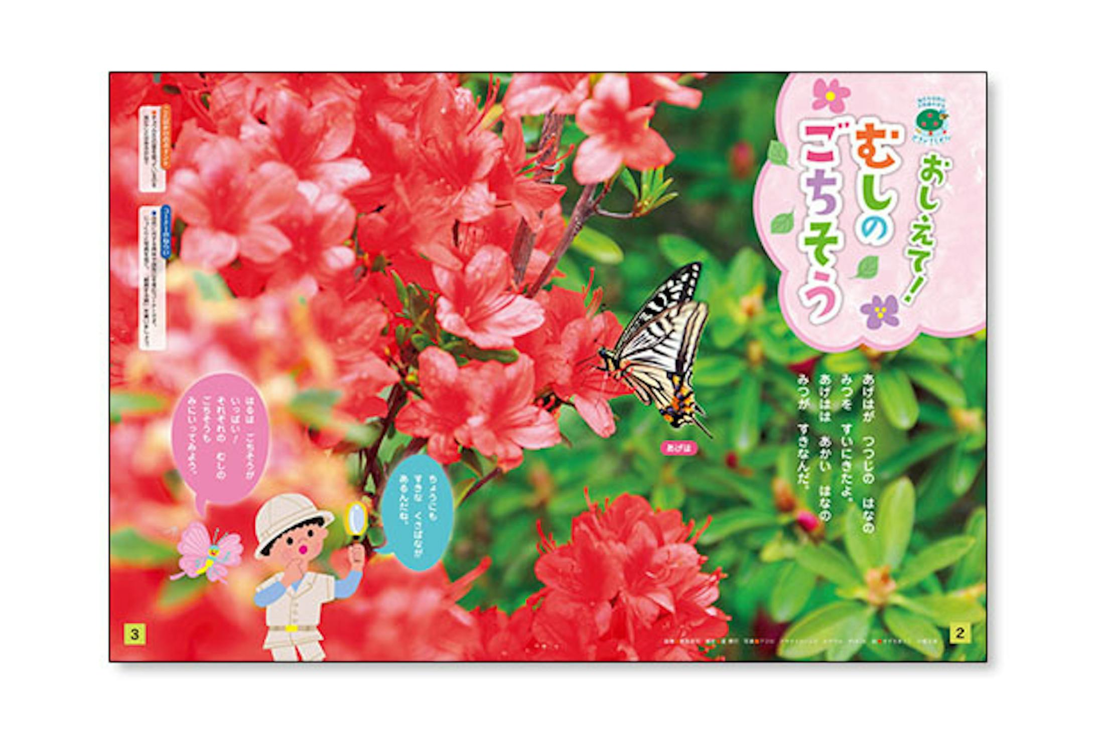 キンダーブック3