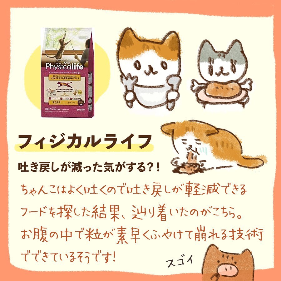 我が家の買ってみてよかった猫さまグッズでーす🐾 みんにゃのお家編も