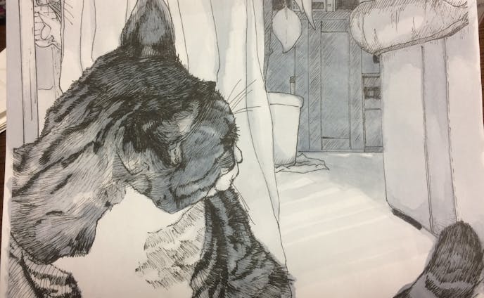 愛猫礼緒を描いたペン画