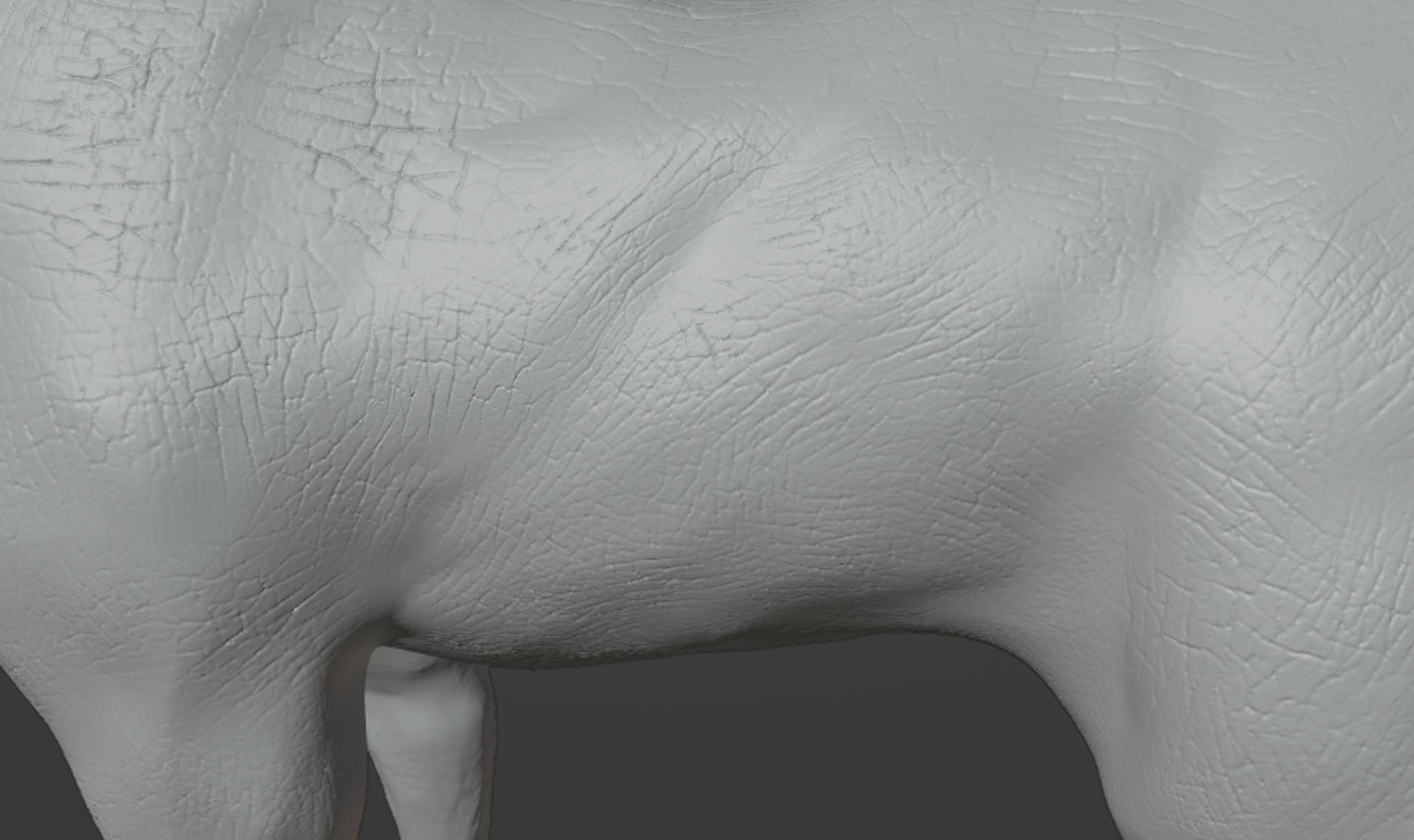 前足から胴体にかけての筋肉の流れはうまくできたと思います。溝の流れも筋肉に合わせて配置しました。