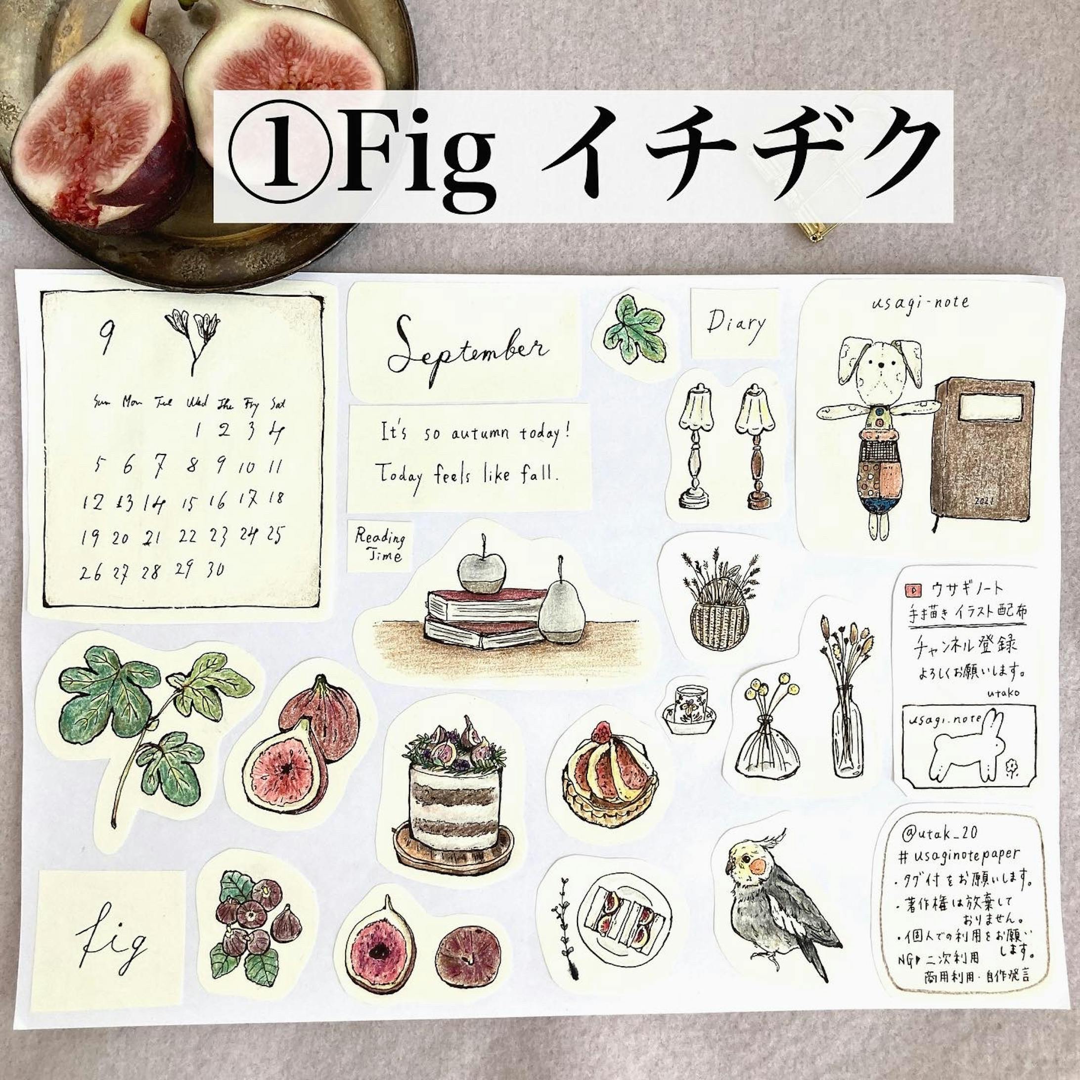 いちじくと秋のイラスト いちじくと秋のイラスト