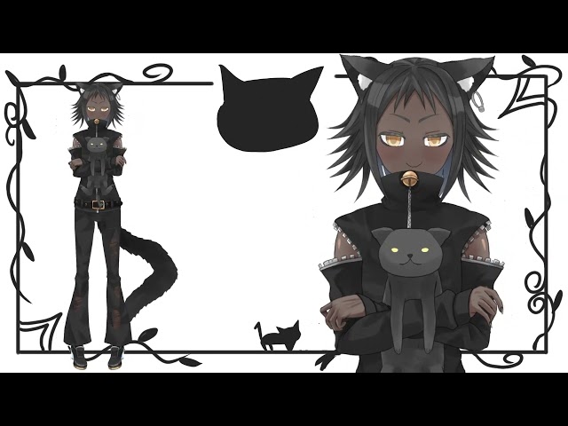 ハチワレあじモデル紹介動画